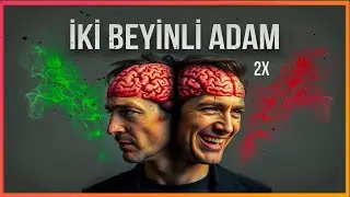 Split-Brain Experiment: Conflict Between Two Hemispheres