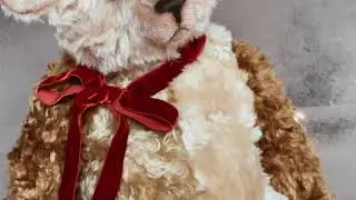 New bear... 🧸❤️