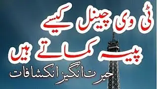 [Explained] How TV Channels Make Money in Pakistan in Urdu/Hindi | How TRP Work?