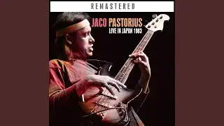 Bass Solo