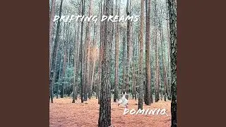 Orbiting Stillness