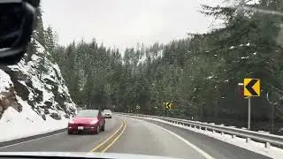After Snowfall &mdash; Peaceful Drive Through Wenatchee Forest | Relaxing Winter Ambience 4K