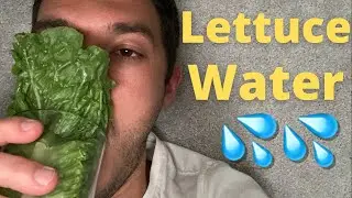 Lettuce Water For Insomnia And Sleep (TIK TOK TREND EXPOSED)