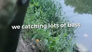 Cats & bass all year stay tuned dont wanna miss out!!!#fishing