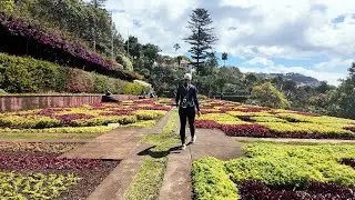 🇵🇹 A Vitalizing Walk Through the Botanical Garden in Funchal Madeira (ONE SHOT - NO CUTS  - 4K)