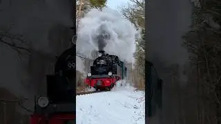 Mit dem &bdquo;Burgfr&auml;ulein&ldquo; durch die winterliche Baaber Heide