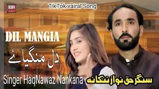Tery nl ho gya a Pyaar| Dil new song 🔥|#newviralsong#|Punjabi song|#song#viral video 