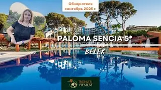 🎯 Paloma Sencia — новая вывеска, старая душа. Что случилось с легендой Cornelia?