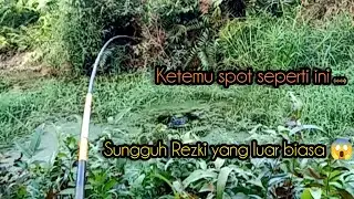 Ketemu spot yang seperti ini sungguh rezki yang luar biasa😱||spot rawa
