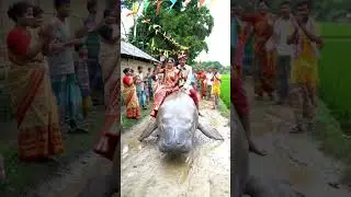 Viral wedding shorts | Bride & Groom Riding Dugong 🐋😂 #fyp