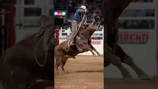 Bull Launch Gone Wild! 🤠 Cowboy Gets Airborne 🐂💨