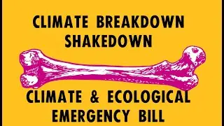 CBS - Climate & Ecological Emergency Bill