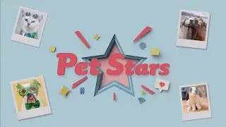 Pet Stars 