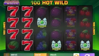 100 HOT WILD | BET 40 CZK  🐖 | Tech4Bet 🎰 | #SLOT 360