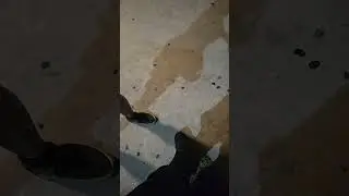 in the hood - South Jersey (DJ Neeb) check out my music !!