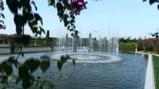 spot - New lions - format da 20 min.