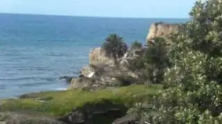 Morning at Pt. Fermin