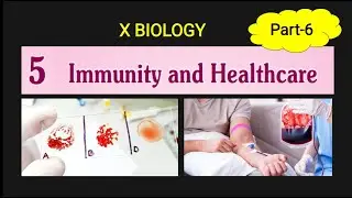 Immunity and health care  SSLC biology  chapter 5 class10  Part 6 Antibiotics, Blood group