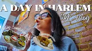 A Day in My Life in Harlem, New York Eating Ecuadorian Food For The First Time
