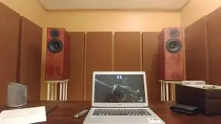 Poor man's Buchardt S300 (Sb Acoustics DIY speaker)