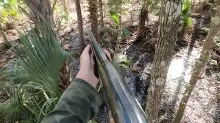 hunting wild hogs with 12ga and 44 mag