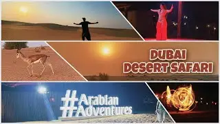 Dubai Vlog | Evening Desert Safari | Arabian Adventures | Dubai Desert Conservation Reserve | 2022