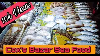 কক্সবাজারের অস্থির সীফুড|| Exotic Sea Food In Cox's Bazar|| Episode-3|| Lobster, Squid, Crab||