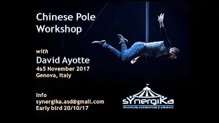 sYnergiKa asd - Chinese Pole Workshop with David Ayotte