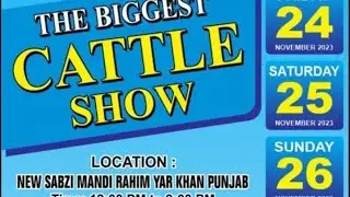 Cattle Show RYK Season 1
