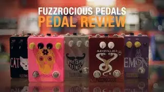 Педали Fuzzrocious: введение | Quest Musique / Магазин Quest Music