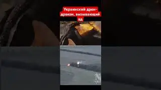 Украинский дрон-дракон (термит) выпускает ад