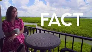 5059 N A1A Unit 902 | Hutchinson Island, FL
