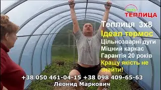Теплиця 3х8 з поликарбонату Великий Житин