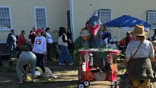 Halloween dog puppy pet parade costume contest 2024 Salem Massachusetts Happy Howl-o-ween