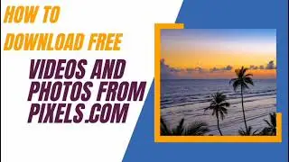 How to Download Free Video And Photos From Pixels.com