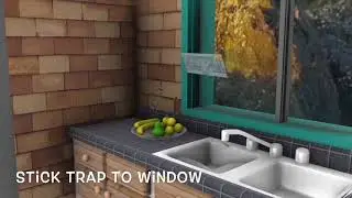 W4W Window Fly Traps - Indoor Pest Control