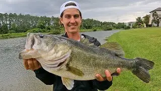 Standing in ONE Spot Catching MULTIPLE GIANT Florida Bass