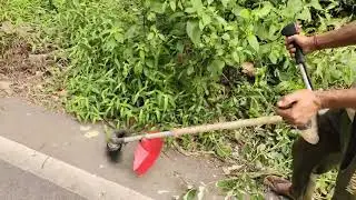 Road side cutting Grass