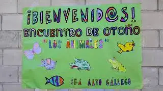 CRA Alto Gállego - Proyecto CIFESUALIZACIÓN
