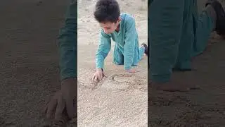 desert survival skills and desert🌵 fun 🤣 #lifehacks #campping #survival #outdoors #fun #experiment