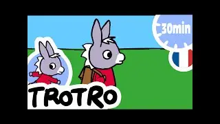 TROTRO 🙈 Trotro joue à Cache-Cache |dessin animé|HD|2020