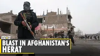 Car bomb kills at least 7, injures 50 in Afghan Herat province | World | WION News