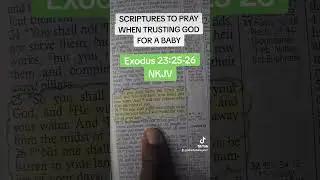 Bible Scriptures to Pray When Trustinv God For a Baby #fertilitymatters #pregnancy #doctor