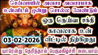இந்த தெய்வ சக்தி தான் உன் வீட்டில் நிற்கிறது/Amman/varaahi Amman/positive vibes/@வராஹிஅருள்வாக்கு 