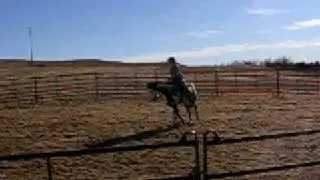 Tobyus fortune, video # 1