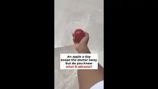 Want to attract Pikachu? Have an apple a day!! #pokemon #pikachu