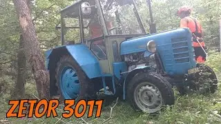 Work in the forest with STIHL MS 500i and Zetor 3011