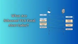 What Are Schannel TLS Fatal Alert Codes?