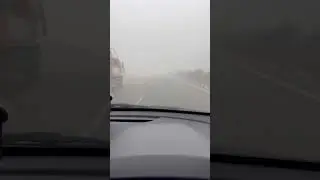 Drive in dense fog with road safety