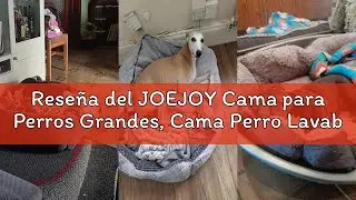 Rese&ntilde;a del JOEJOY Cama para Perros Grandes, Cama Perro Lavable y Esponjosa, Mascotas para Perros Gra